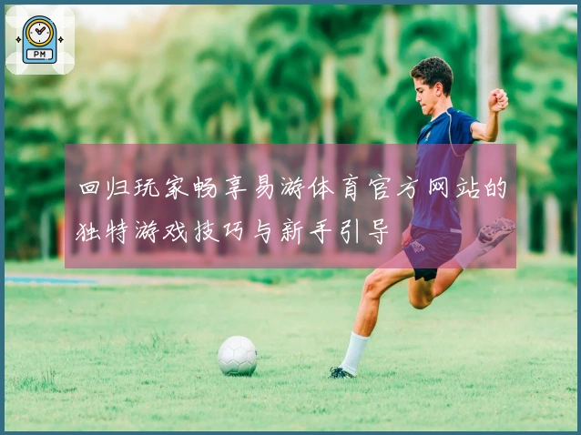 回归玩家畅享易游体育官方网站的独特游戏技巧与新手引导