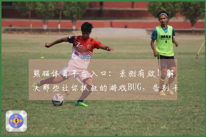 熊猫体育平台入口：亲测有效！解决那些让你抓狂的游戏BUG，告别卡顿畅玩到底