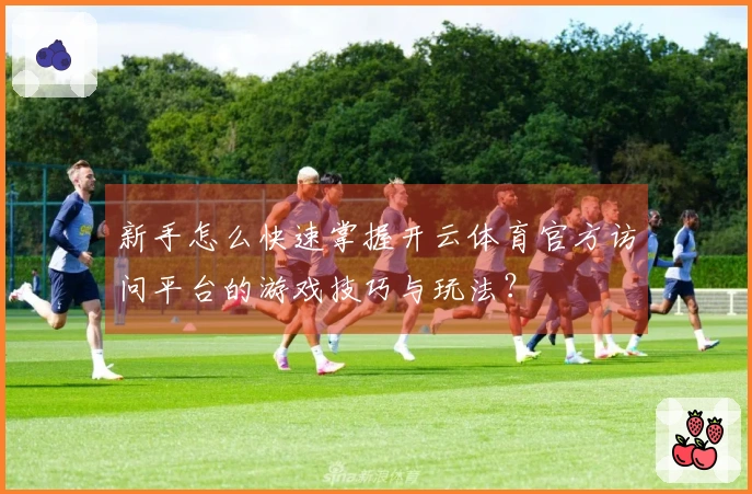 新手怎么快速掌握开云体育官方访问平台的游戏技巧与玩法？