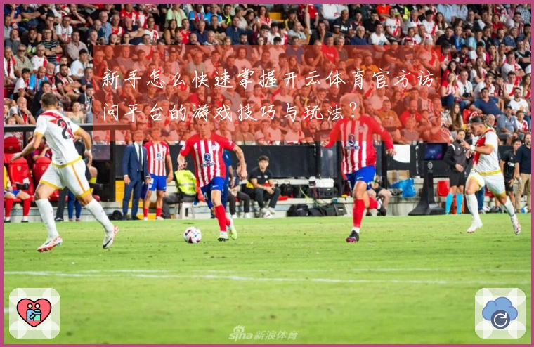 新手怎么快速掌握开云体育官方访问平台的游戏技巧与玩法？